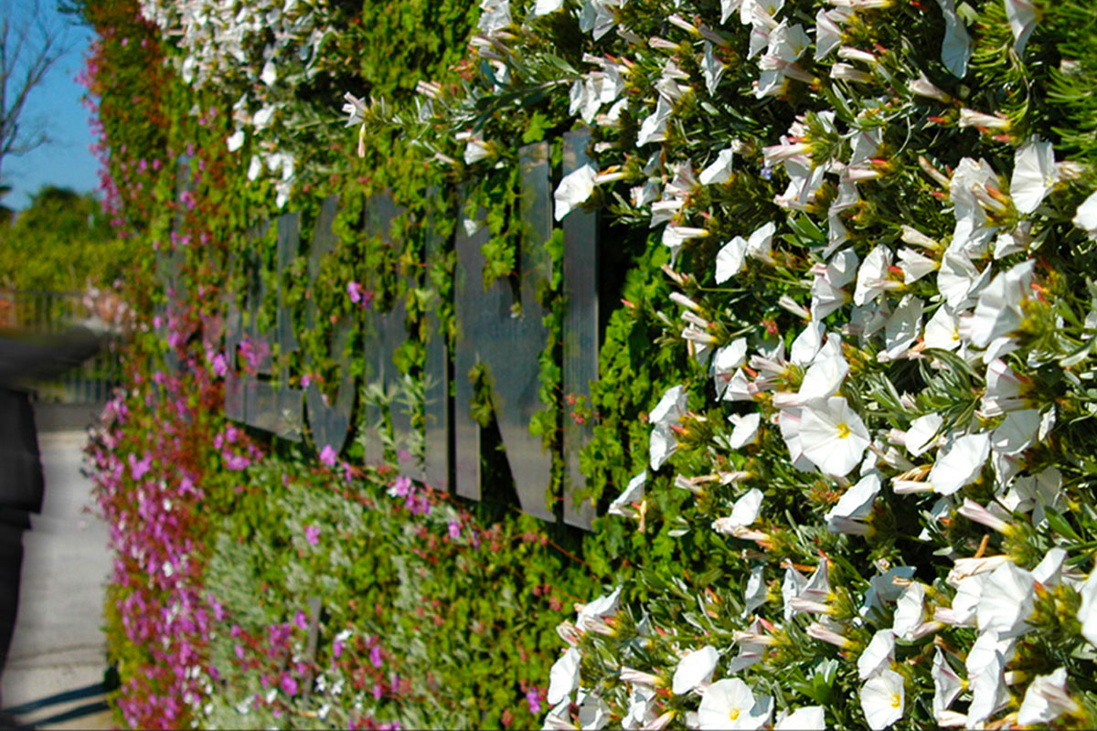 Progettazione di Giardini Verticali e Pareti Verdi in Emilia