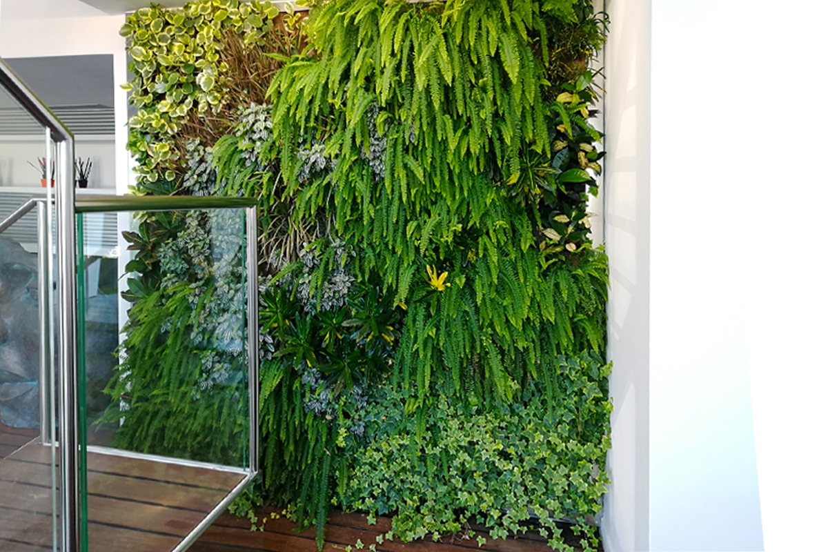 Giardino verticale interno pellegrini giardini dopo ~ pellegrini ... Giardino verticale interno