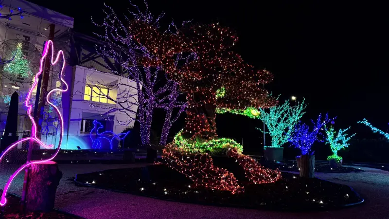 Alberi di Natale illuminati davanti alla sede Pellegrini Giardini a Civitanova Marche