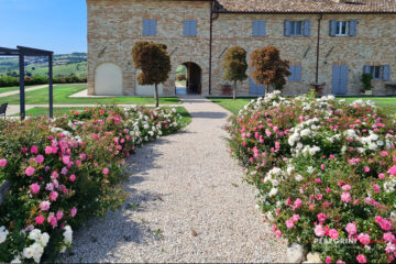 villa-angela-ingresso-con-Rose.j