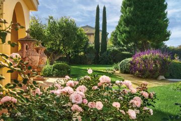 ingresso, giardino, cipressi, rose