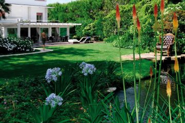 Biolago con le carpe