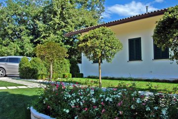 Solanum, rose, alberi formali