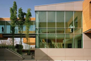 Bambù gigante, sede Rainbow Loreto, giardino aziendale