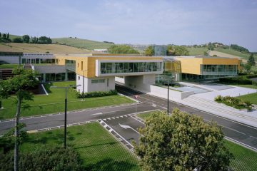 Bambù gigante, sede Rainbow Loreto, giardino aziendale