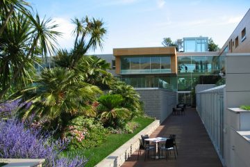 Bambù gigante, sede Rainbow Loreto, giardino aziendale