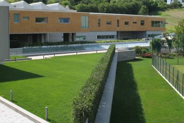 Bambù gigante, sede Rainbow Loreto, giardino aziendale
