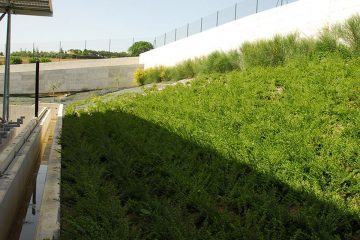 inverdimento scarpata