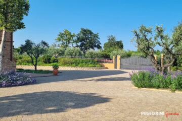 Il giardino dell'antico casale Bonaparte