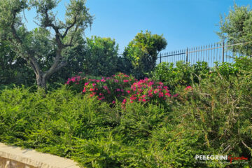 Il giardino dell'antico casale Bonaparte
