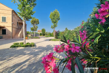 Il giardino dell'antico casale Bonaparte