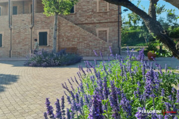 Il giardino dell'antico casale Bonaparte