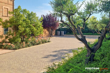 Il giardino dell'antico casale Bonaparte