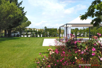 Ristrutturazione giardino RSA Maestà Due aiuola rose