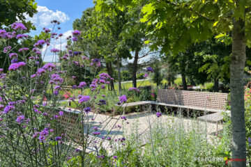 Ristrutturazione giardino RSA Maestà Due arredi
