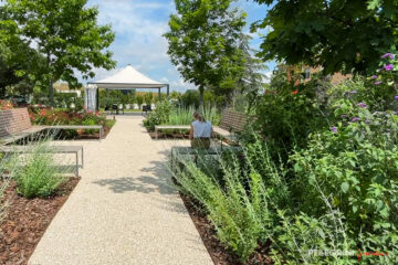 Ristrutturazione giardino RSA Maestà Due panche design