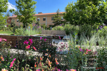 Ristrutturazione giardino RSA Maestà Due panchina legno