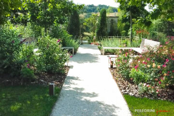 Ristrutturazione giardino RSA Maestà Due