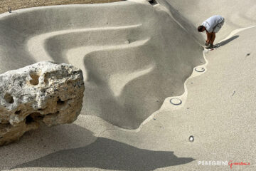Ristrutturazione giardino del casale in campagna piscina Biodesign