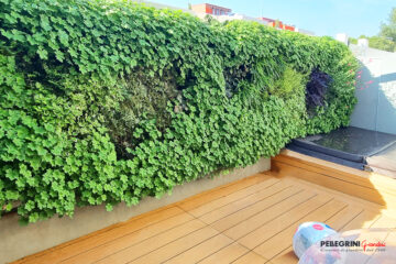 Giardino verticale rigoglioso anche in inverno