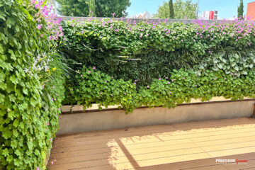 Giardino verticale fiorito con pavimentazione in legno