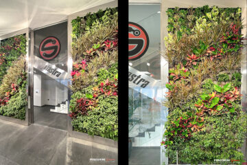 Giardino verticale rigolgioso