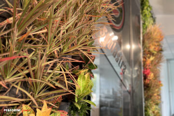 Dettaglio giardino verticale Biophillicwalls