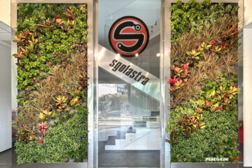 Realizzazione giardino verticale prima