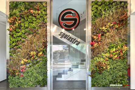 Giardino verticale Biophillicwalls