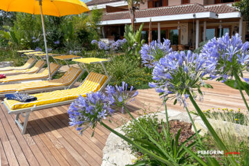 Aghapantus blu fioriti