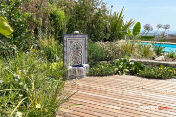 Giaridino-tropicale-agaphantus-dietes-fioriti-fontana-mosaico