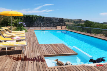 Cani-cuccioli-bagno-in-piscina-pavimento-legno