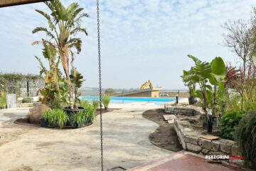 Giardino-stile-tropicale-lavori-in-corso-pavimento-cemento