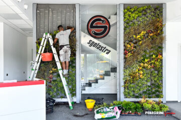 Piantumazione-giardini-verticale