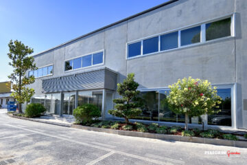 Azienda_aiuola_bonsai_ingresso-dopo