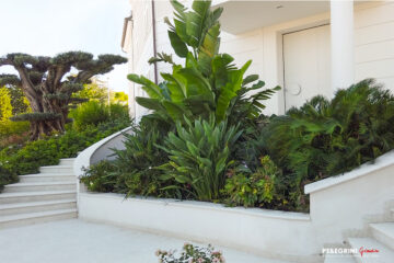 Vasche-travertino-olivo-rose-strelizie-topicali