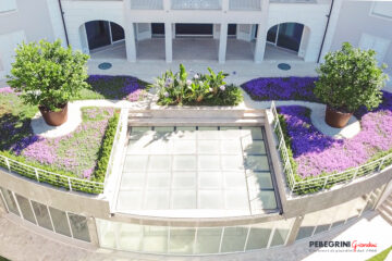 Vasche-verbena-limoni