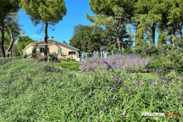 Staccionata in legno e fioriture