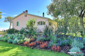 Aiuola di cespugli colorati