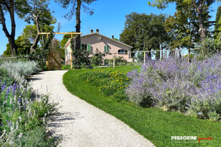 Sentiero in ghiaia e cespuglioni di lavande verso l'agriturismo