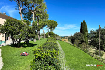 Siepe di separazione fra due livelli del giardino