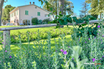 Staccionata in legno e fioriture