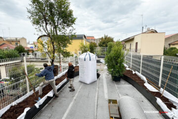 Giardino pensile piantumazione alberi e cespugli