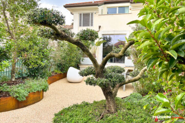 Giardino-pensile-olivo-corten-cespugli