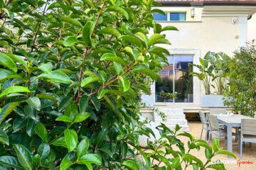 Giardino-pensile-strelitzia-arredi-fioriere