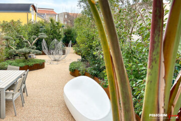 Giardino-pensile-strelitzia-olivo