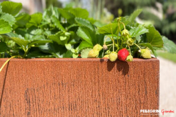 Orti-rialzati-vasche-corte-frutti