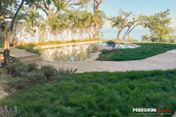 piscina-naturale -prato-cespugli_