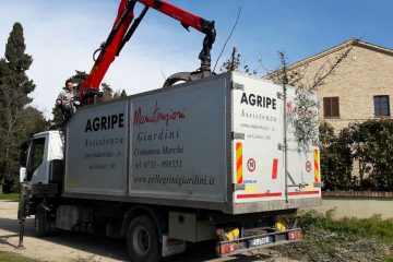 manutenzione giardino