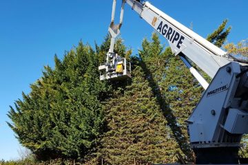 manutenzione giardino